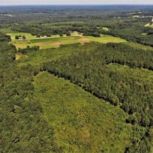 Photo of SOLD!!  9.06 Acres of Residential Farm Land For Sale in Halifax County NC!