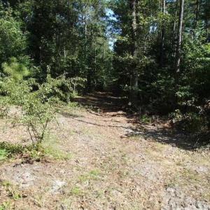 Photo of SOLD!!  121 Acres of Recreational Land For Sale in Northampton County NC!