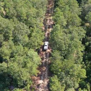 Photo of SOLD!!  121 Acres of Recreational Land For Sale in Northampton County NC!