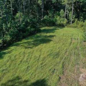 Photo of SOLD!!  121 Acres of Recreational Land For Sale in Northampton County NC!