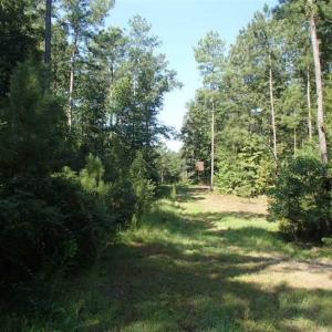 Photo of SOLD!!  121 Acres of Recreational Land For Sale in Northampton County NC!