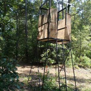 Photo of SOLD!!  121 Acres of Recreational Land For Sale in Northampton County NC!