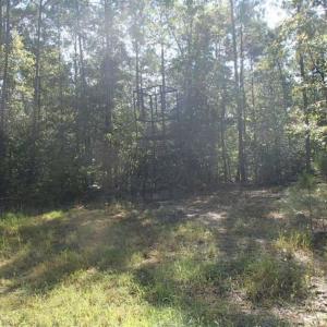 Photo of SOLD!!  121 Acres of Recreational Land For Sale in Northampton County NC!