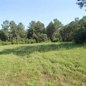 Photo of SOLD!!  121 Acres of Recreational Land For Sale in Northampton County NC!