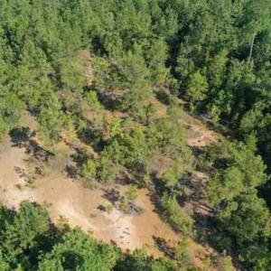 Photo of SOLD!!  121 Acres of Recreational Land For Sale in Northampton County NC!