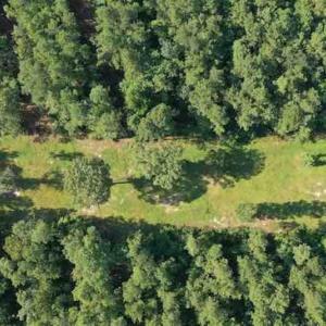 Photo of SOLD!!  121 Acres of Recreational Land For Sale in Northampton County NC!