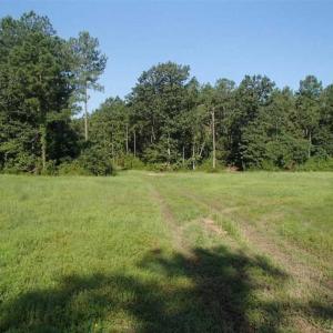 Photo of SOLD!!  121 Acres of Recreational Land For Sale in Northampton County NC!