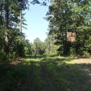 Photo of SOLD!!  121 Acres of Recreational Land For Sale in Northampton County NC!