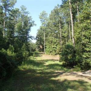 Photo of SOLD!!  121 Acres of Recreational Land For Sale in Northampton County NC!