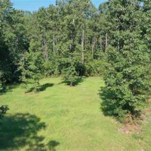 Photo of SOLD!!  121 Acres of Recreational Land For Sale in Northampton County NC!