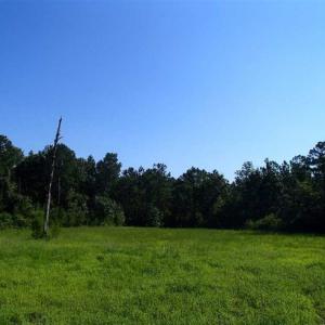 Photo of SOLD!!  121 Acres of Recreational Land For Sale in Northampton County NC!