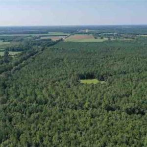 Photo of SOLD!!  121 Acres of Recreational Land For Sale in Northampton County NC!