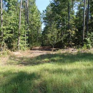 Photo of SOLD!!  121 Acres of Recreational Land For Sale in Northampton County NC!