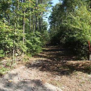 Photo of SOLD!!  121 Acres of Recreational Land For Sale in Northampton County NC!