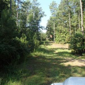 Photo of SOLD!!  121 Acres of Recreational Land For Sale in Northampton County NC!