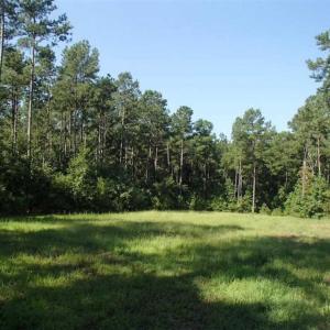 Photo of SOLD!!  121 Acres of Recreational Land For Sale in Northampton County NC!