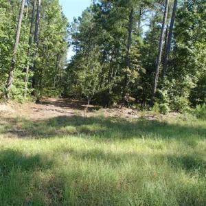 Photo of SOLD!!  121 Acres of Recreational Land For Sale in Northampton County NC!