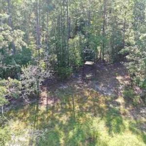 Photo of SOLD!!  121 Acres of Recreational Land For Sale in Northampton County NC!