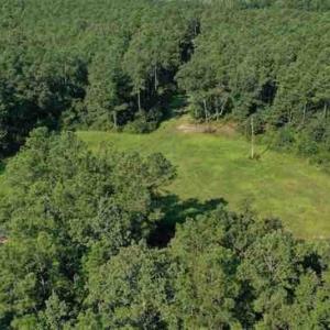 Photo of SOLD!!  121 Acres of Recreational Land For Sale in Northampton County NC!