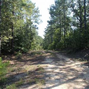 Photo of SOLD!!  121 Acres of Recreational Land For Sale in Northampton County NC!