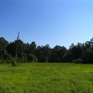 Photo of SOLD!!  121 Acres of Recreational Land For Sale in Northampton County NC!