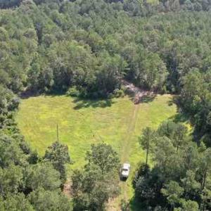 Photo of SOLD!!  121 Acres of Recreational Land For Sale in Northampton County NC!