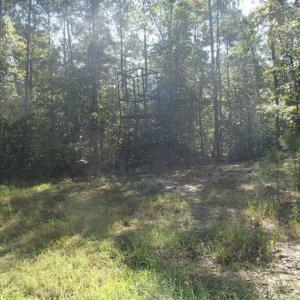 Photo of SOLD!!  121 Acres of Recreational Land For Sale in Northampton County NC!