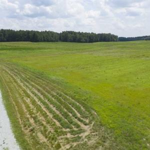 Photo of SOLD!!  5.73 Acres of Residential Land with Homesite For Sale in Alamance County NC!