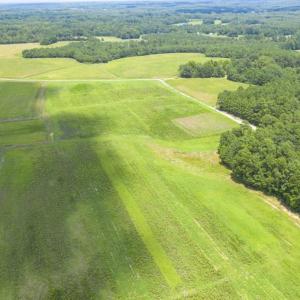 Photo of UNDER CONTRACT!! 12.35 +/- Acres of Residential Land with Homesite For Sale in Alamance County NC!