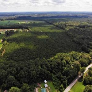 Photo of SOLD!!  105 Acres of Hunting and Timber Land For Sale in Northampton County NC!
