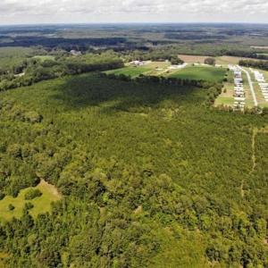 Photo of SOLD!!  105 Acres of Hunting and Timber Land For Sale in Northampton County NC!