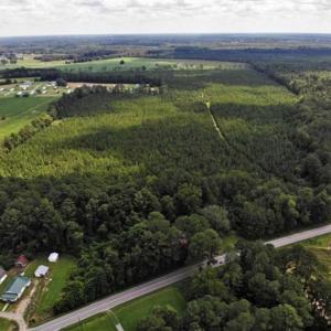 Photo of SOLD!!  105 Acres of Hunting and Timber Land For Sale in Northampton County NC!