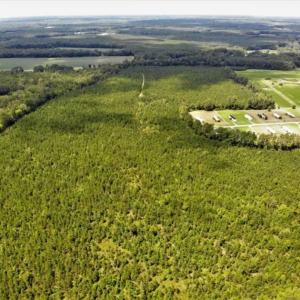 Photo of SOLD!!  105 Acres of Hunting and Timber Land For Sale in Northampton County NC!