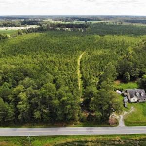 Photo of SOLD!!  105 Acres of Hunting and Timber Land For Sale in Northampton County NC!