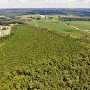 Photo of SOLD!!  105 Acres of Hunting and Timber Land For Sale in Northampton County NC!