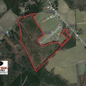 Photo of SOLD!!  105 Acres of Hunting and Timber Land For Sale in Northampton County NC!