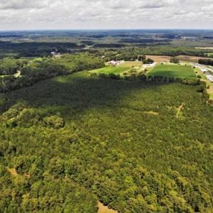 Photo of SOLD!!  105 Acres of Hunting and Timber Land For Sale in Northampton County NC!