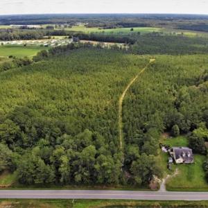 Photo of SOLD!!  105 Acres of Hunting and Timber Land For Sale in Northampton County NC!