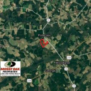 Photo of SOLD!!  105 Acres of Hunting and Timber Land For Sale in Northampton County NC!