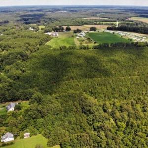 Photo of SOLD!!  105 Acres of Hunting and Timber Land For Sale in Northampton County NC!
