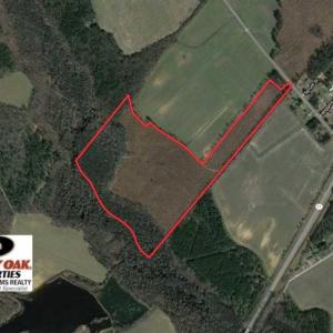 Photo of 55 Acres of Timber and Hunting Land For Sale in Bertie County NC!