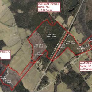 Photo of 55 Acres of Timber and Hunting Land For Sale in Bertie County NC!