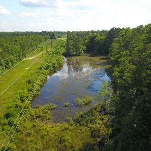 Photo of 297 Acres of Timber and Hunting Land For Sale in Gates County NC and Suffolk VA!