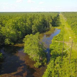 Photo of 297 Acres of Timber and Hunting Land For Sale in Gates County NC and Suffolk VA!