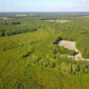 Photo of 297 Acres of Timber and Hunting Land For Sale in Gates County NC and Suffolk VA!