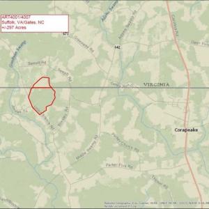 Photo of 297 Acres of Timber and Hunting Land For Sale in Gates County NC and Suffolk VA!