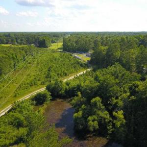Photo of 297 Acres of Timber and Hunting Land For Sale in Gates County NC and Suffolk VA!