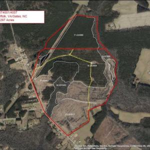 Photo of 297 Acres of Timber and Hunting Land For Sale in Gates County NC and Suffolk VA!