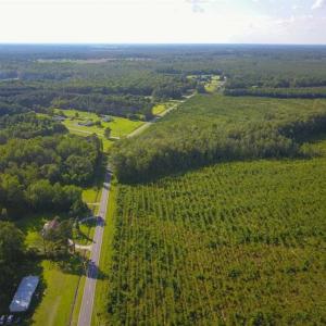 Photo of 297 Acres of Timber and Hunting Land For Sale in Gates County NC and Suffolk VA!