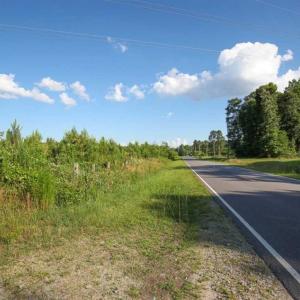 Photo of 297 Acres of Timber and Hunting Land For Sale in Gates County NC and Suffolk VA!
